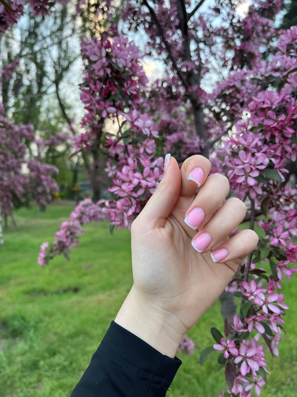 Рожевий френч з квітами